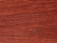 Jarrah